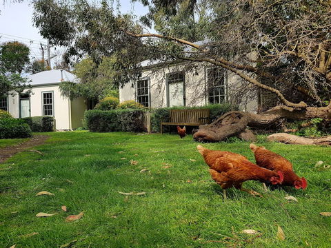 Clonmara Country House & Cottages - Accommodation Port Macquarie 1