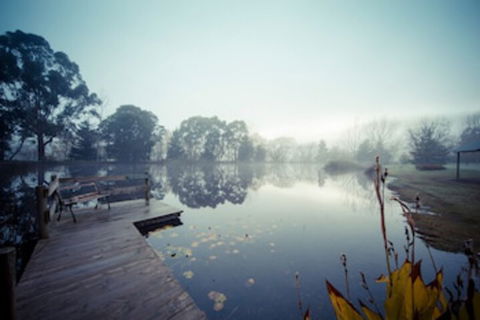 Sanctuary Park Cottages - Accommodation Port Macquarie 0