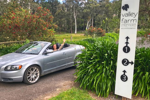 Valley Farm Vineyard Cottages - Accommodation Port Macquarie 0