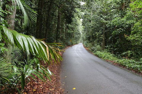 Chambers Wildlife Rainforest Lodges - Accommodation Port Macquarie 2