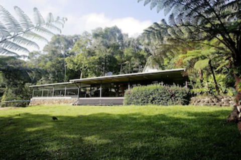 Chambers Wildlife Rainforest Lodges - Accommodation Port Macquarie 0