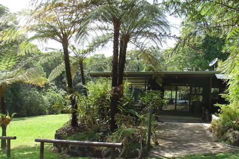 Chambers Wildlife Rainforest Lodges - Accommodation Port Macquarie 3