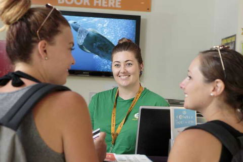 Cairns Central YHA - Hostel - Accommodation Port Macquarie 7