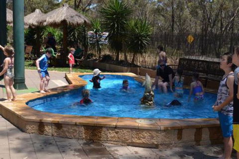 Bendigo Bush Cabins - Accommodation Port Macquarie 2