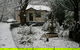 Moulton Park Cottages - thumb 3