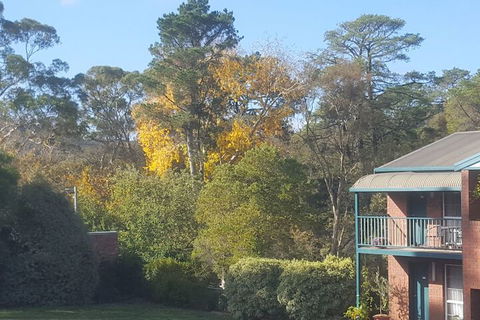 Hepburn Springs Motor Inn - Accommodation Port Macquarie 5