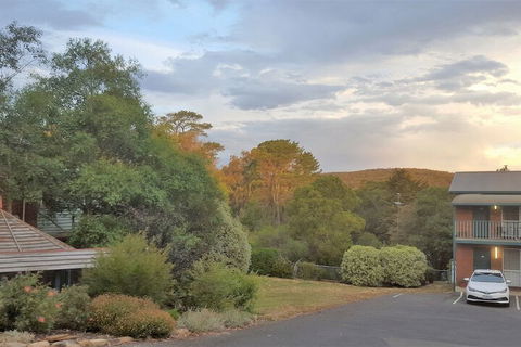 Hepburn Springs Motor Inn - Accommodation Port Macquarie 4