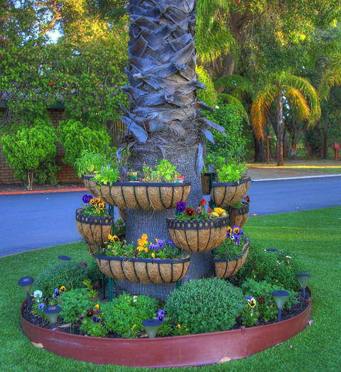 Mandurah Caravan & Tourist Park - Accommodation Port Macquarie 4