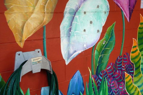 Dreamtime Travellers Rest Guest House - Accommodation Port Macquarie 6