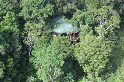 Mt Quincan Crater Retreat - Accommodation Port Macquarie 6