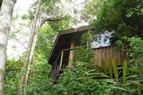Mt Quincan Crater Retreat - Accommodation Port Macquarie 5