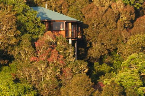 Mt Quincan Crater Retreat - Accommodation Port Macquarie 4