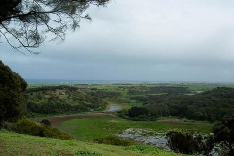 Birch House Koroit - Accommodation Port Macquarie 7