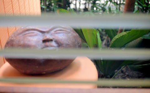 Sejala Beach Huts - Accommodation Port Macquarie 6