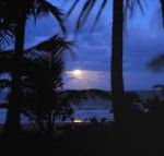 Sejala Beach Huts - Accommodation Port Macquarie