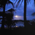 Sejala Beach Huts - Accommodation Port Macquarie 0