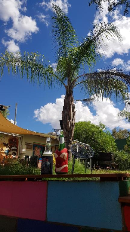 Alices Secret Travellers Inn - Accommodation Port Macquarie 1