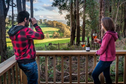 Balingup Heights Hilltop Forest Cottages - Accommodation Port Macquarie 7