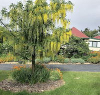 Hamlet Downs Country Accommodation - Accommodation Port Macquarie