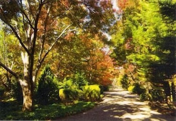 Chalets Lumineux - Accommodation Port Macquarie 0