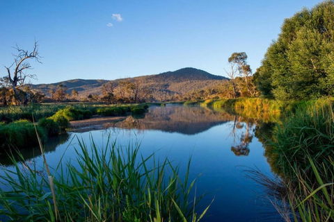 Snowy River Cabins - Accommodation Port Macquarie 3
