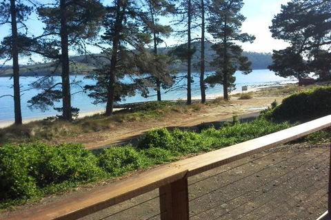 Bruny Island Beachside Accommodation - Accommodation Port Macquarie 1