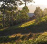Bundle Hill Cottages - Accommodation Port Macquarie