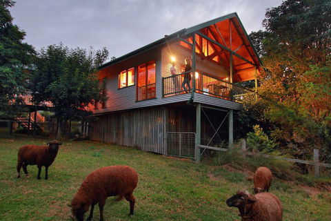 Worendo Cottages - Accommodation Port Macquarie 3