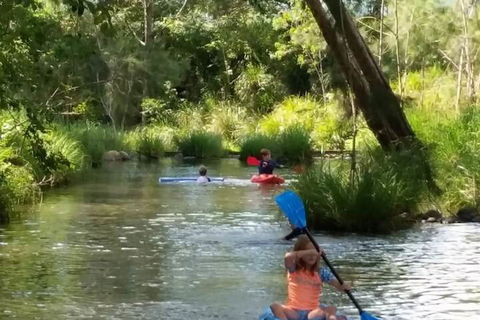 Worendo Cottages - Accommodation Port Macquarie 7