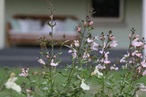 Serendipity On Allyn - Accommodation Port Macquarie 0
