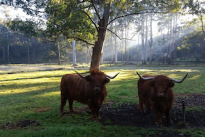 Glenhaven NSW Accommodation Port Macquarie