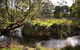 Green Gully House - thumb 0