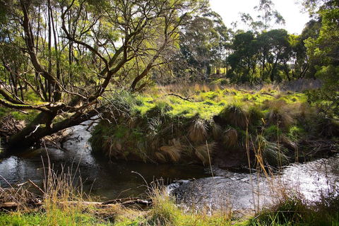 Green Gully House - Accommodation Port Macquarie 0