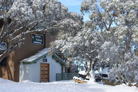 Alpine Retreat Mt Buller - Accommodation Port Macquarie 1