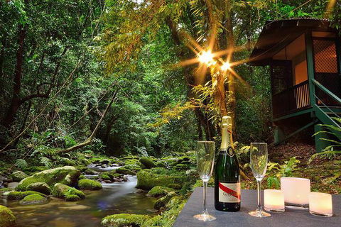 Misty Mountains Rainforest Retreat - Accommodation Port Macquarie 3