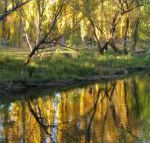 On The Banks - Accommodation Port Macquarie