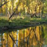 On The Banks - Accommodation Port Macquarie 0