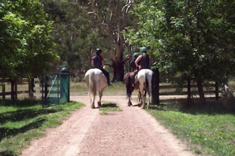 Halls On Falls Homestead - Accommodation Port Macquarie 3