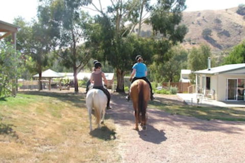 Halls On Falls Homestead - Accommodation Port Macquarie 1