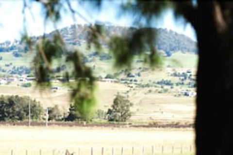 Killarney View Cabins & Caravan Park - Accommodation Port Macquarie 1
