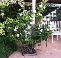 Ellesmere House - Accommodation Port Macquarie