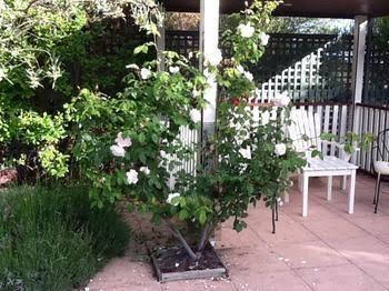 Ellesmere House - Accommodation Port Macquarie 0