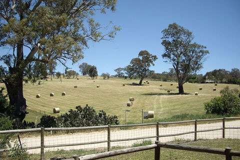 1860 Wine Country Cottages - Accommodation Port Macquarie 4