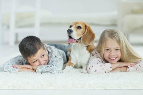 BOUTIQUE STAYS - The Residence - Accommodation Port Macquarie 3