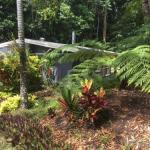 Kuranda QLD Accommodation Port Macquarie