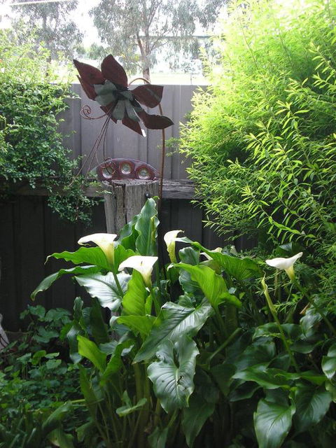 C & As Cottage - Accommodation Port Macquarie 2