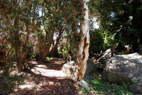 The Hideaway Luxury B & B Retreat - Accommodation Port Macquarie 6