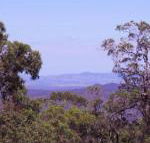 Ravensbourne Escape Cedar Lodge - Accommodation Port Macquarie