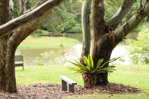 McCarthy Lake House - Accommodation Port Macquarie 4