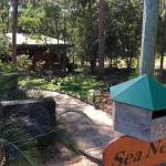 Sea Nest - Accommodation Port Macquarie 0
